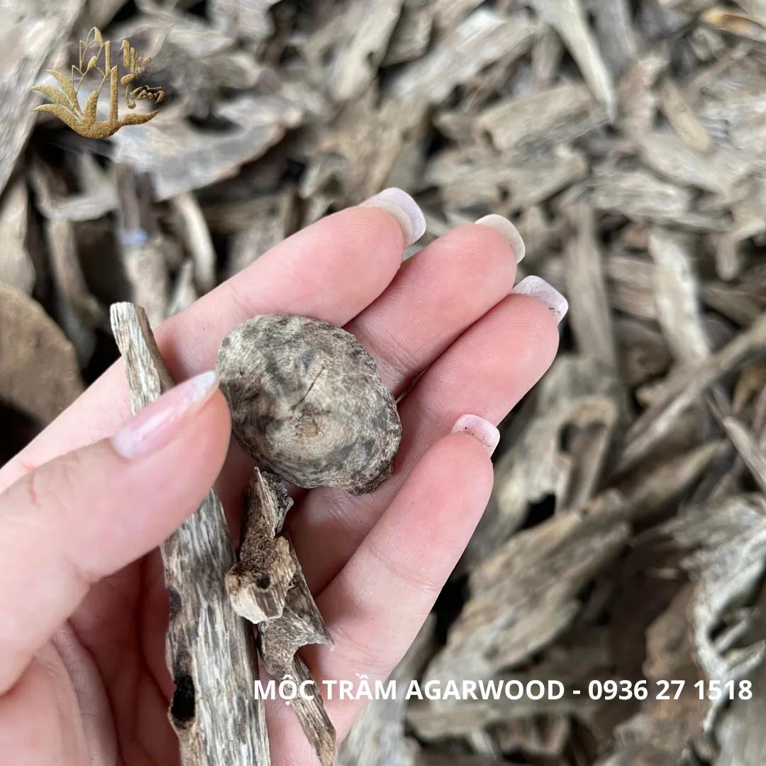 https://moctramagarwood.com - Hình ảnh