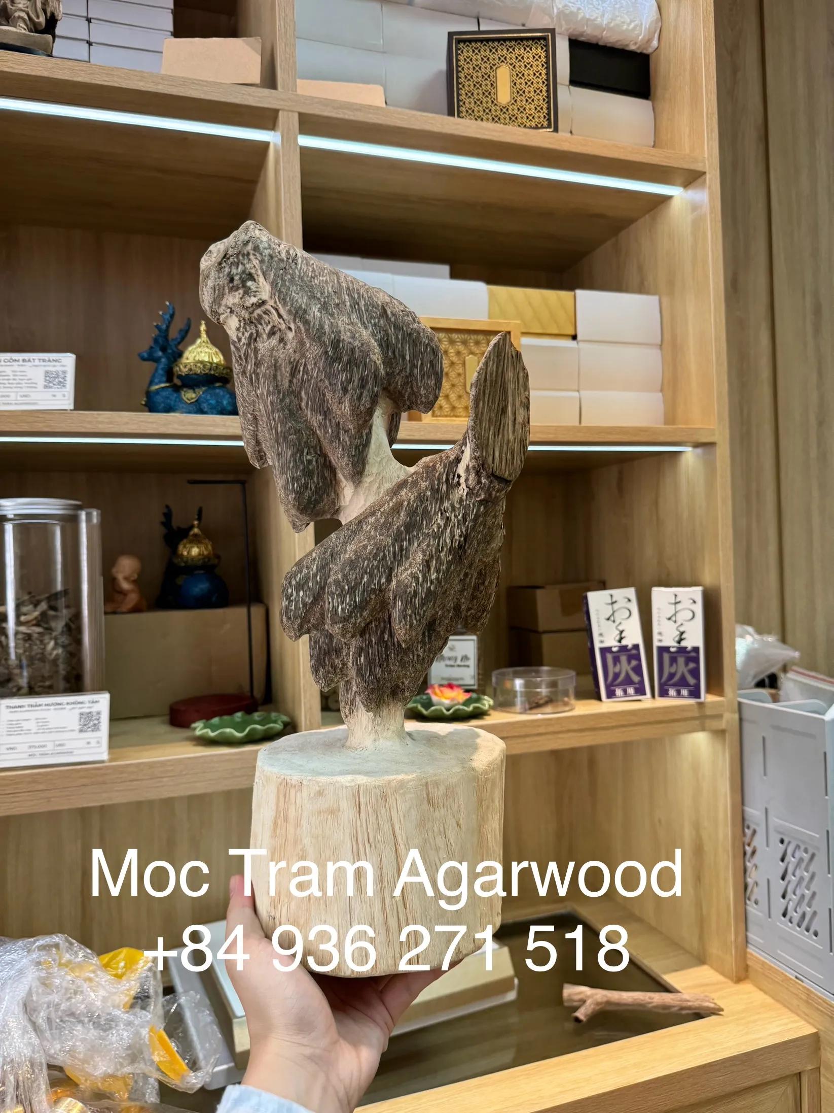 https://moctramagarwood.com - Hình ảnh