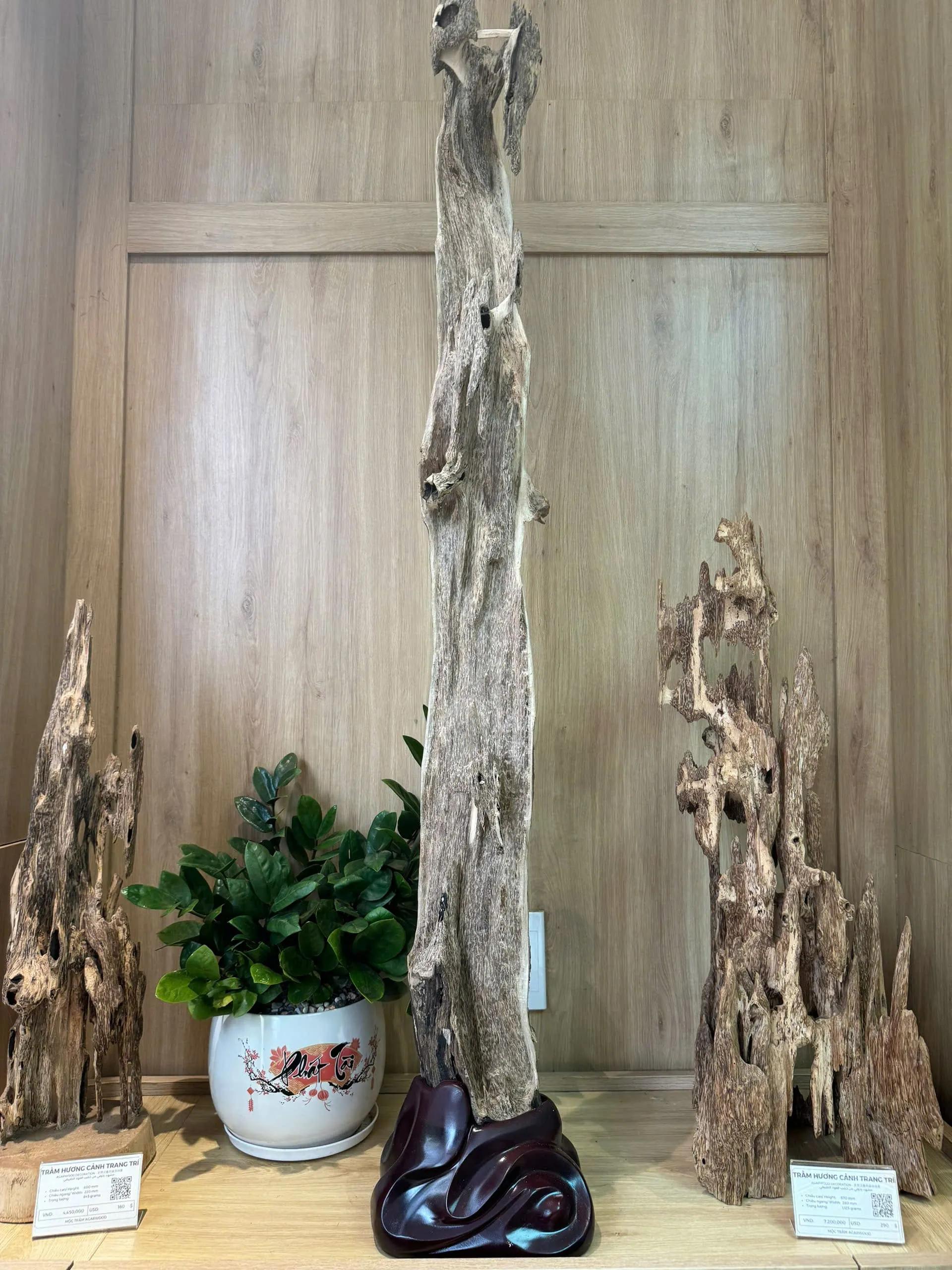 Oud Shop_Decoration Agarwood 