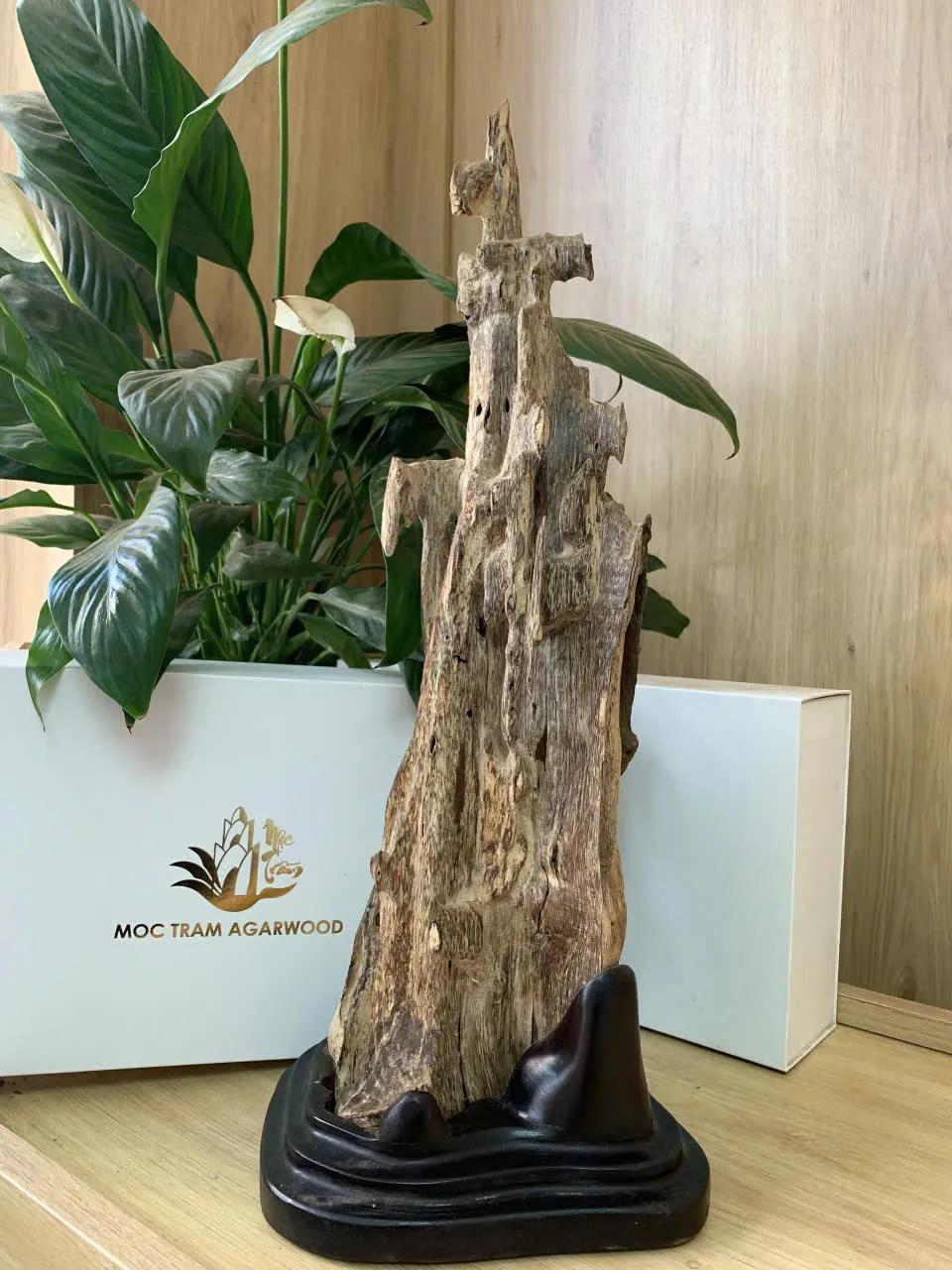 https://moctramagarwood.com - Hình ảnh