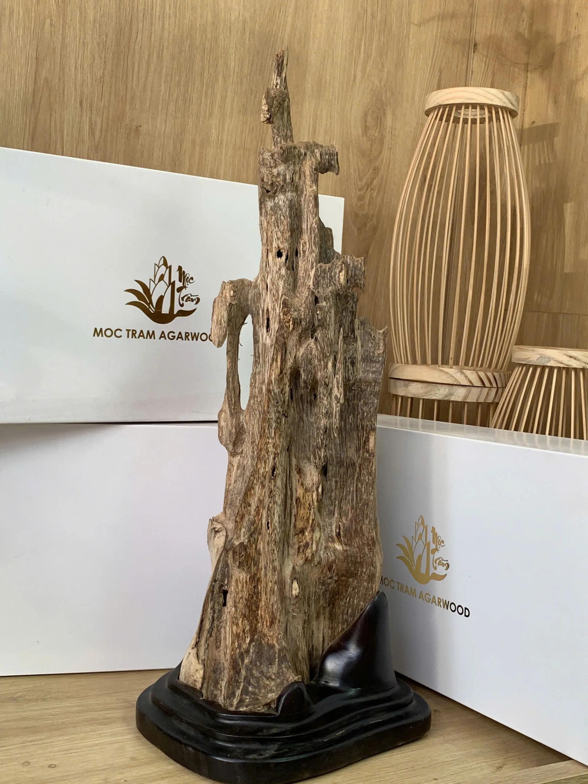 https://moctramagarwood.com - Hình ảnh