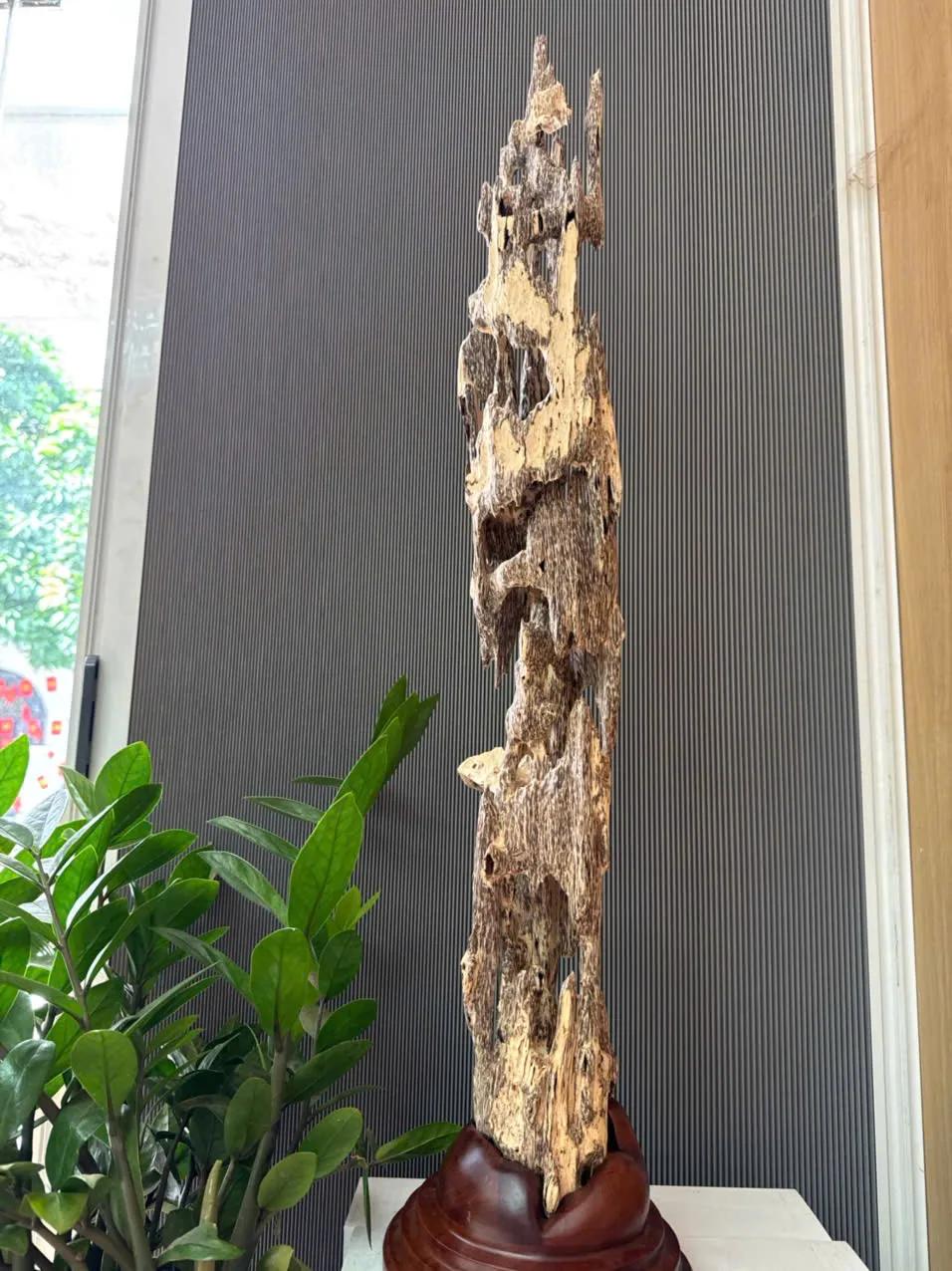https://moctramagarwood.com - Hình ảnh