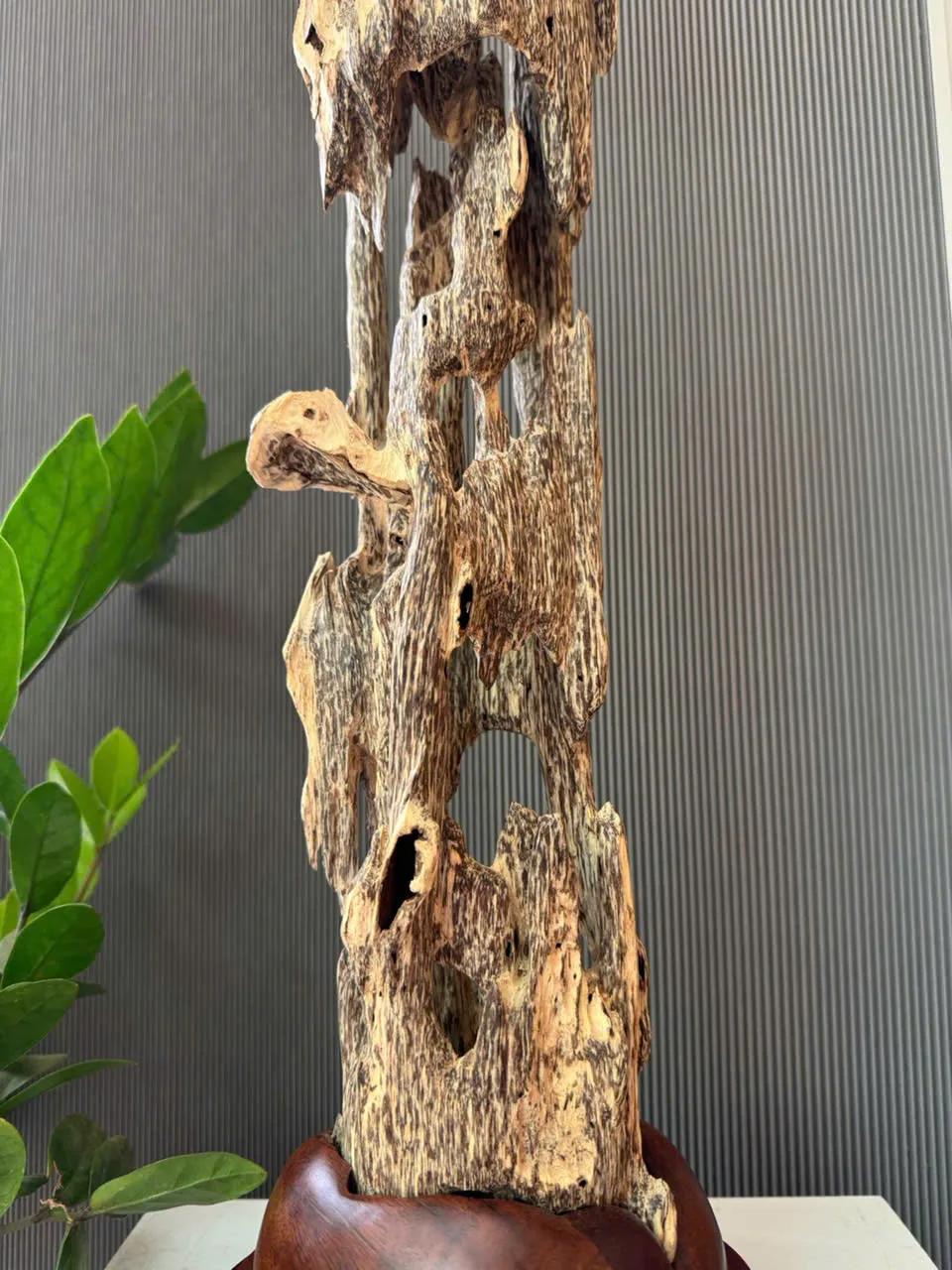 https://moctramagarwood.com - Hình ảnh