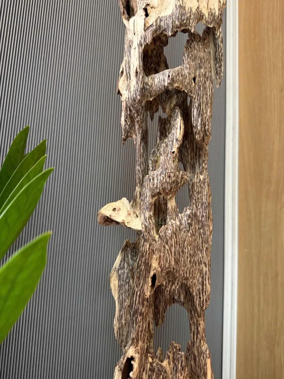 https://moctramagarwood.com - Hình ảnh