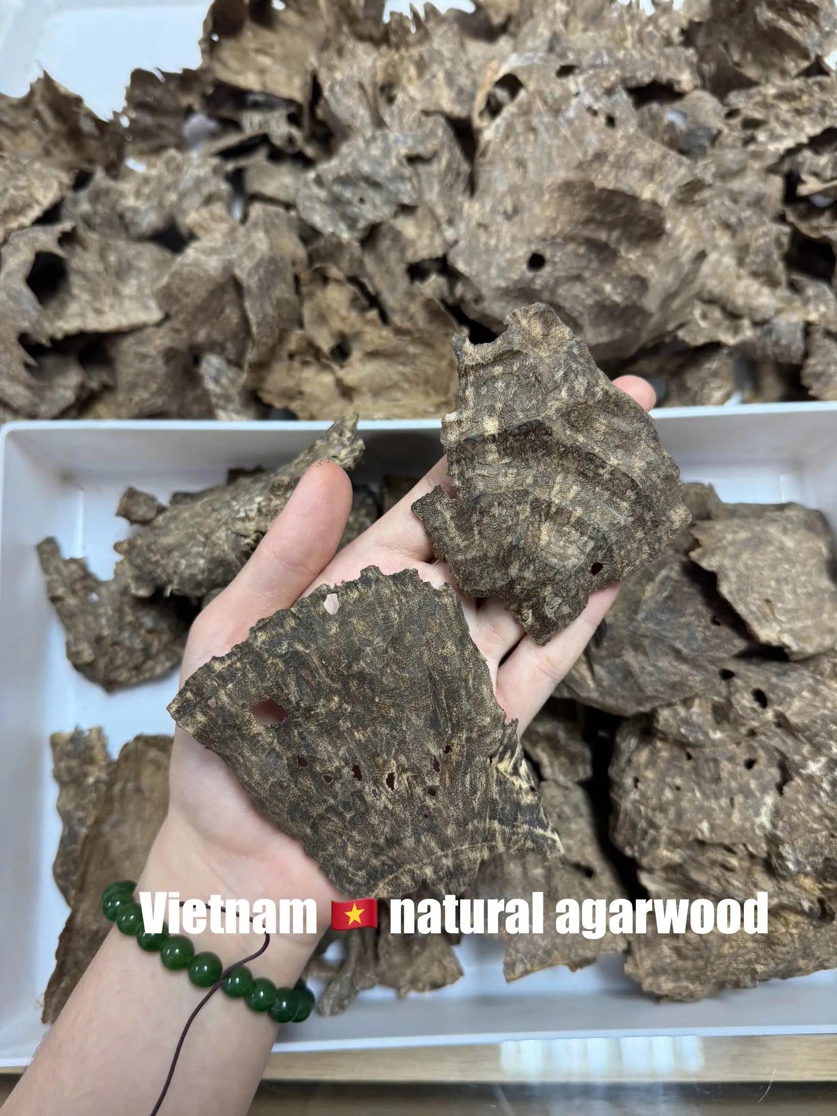 CHAR OUD - WHERE VIETNAMESE FORESTS BREATHE THROUGH FRAGRANCE