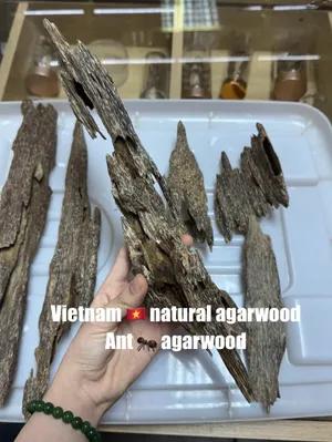 https://moctramagarwood.com - Hình ảnh
