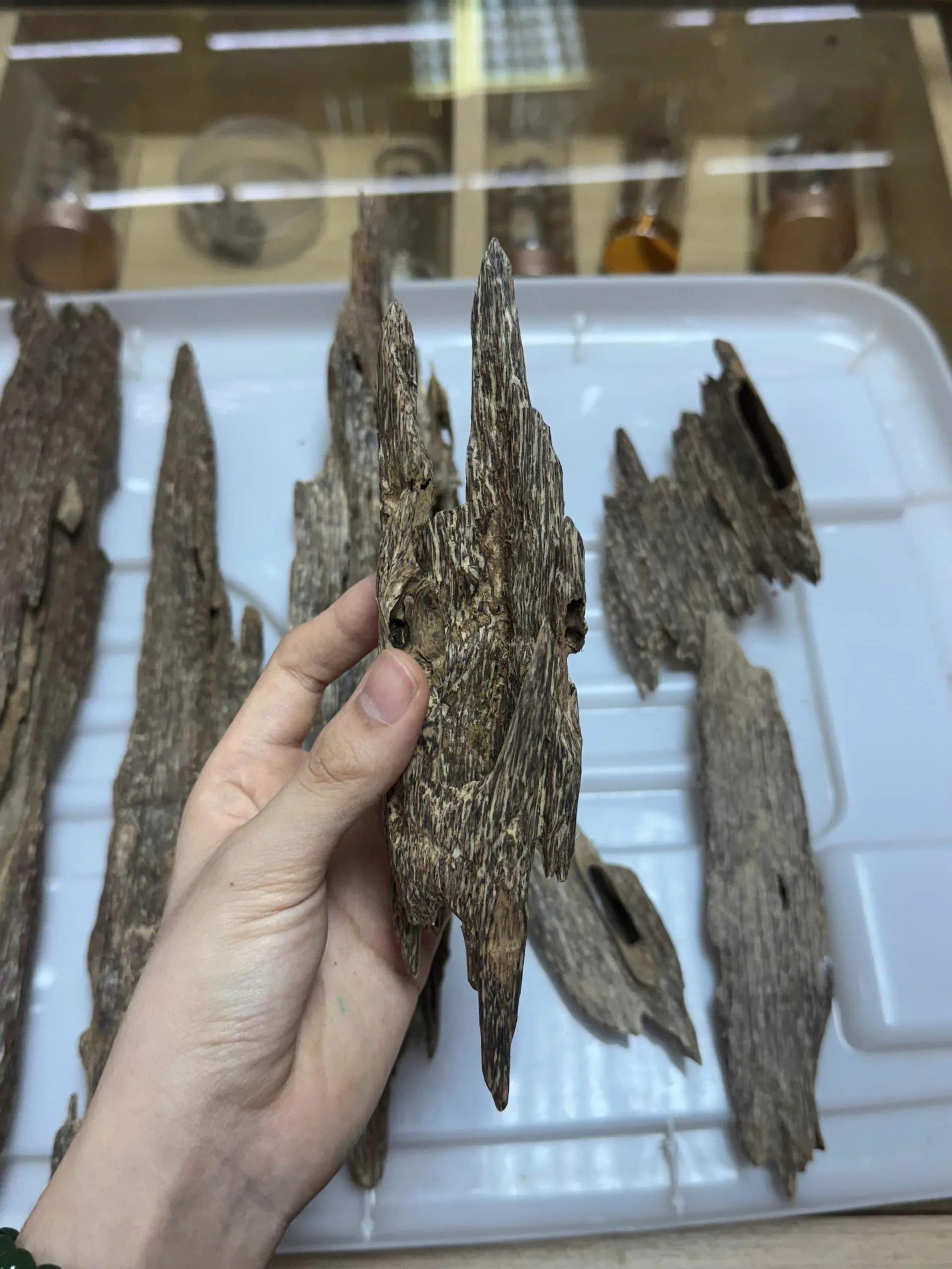 https://moctramagarwood.com - Hình ảnh
