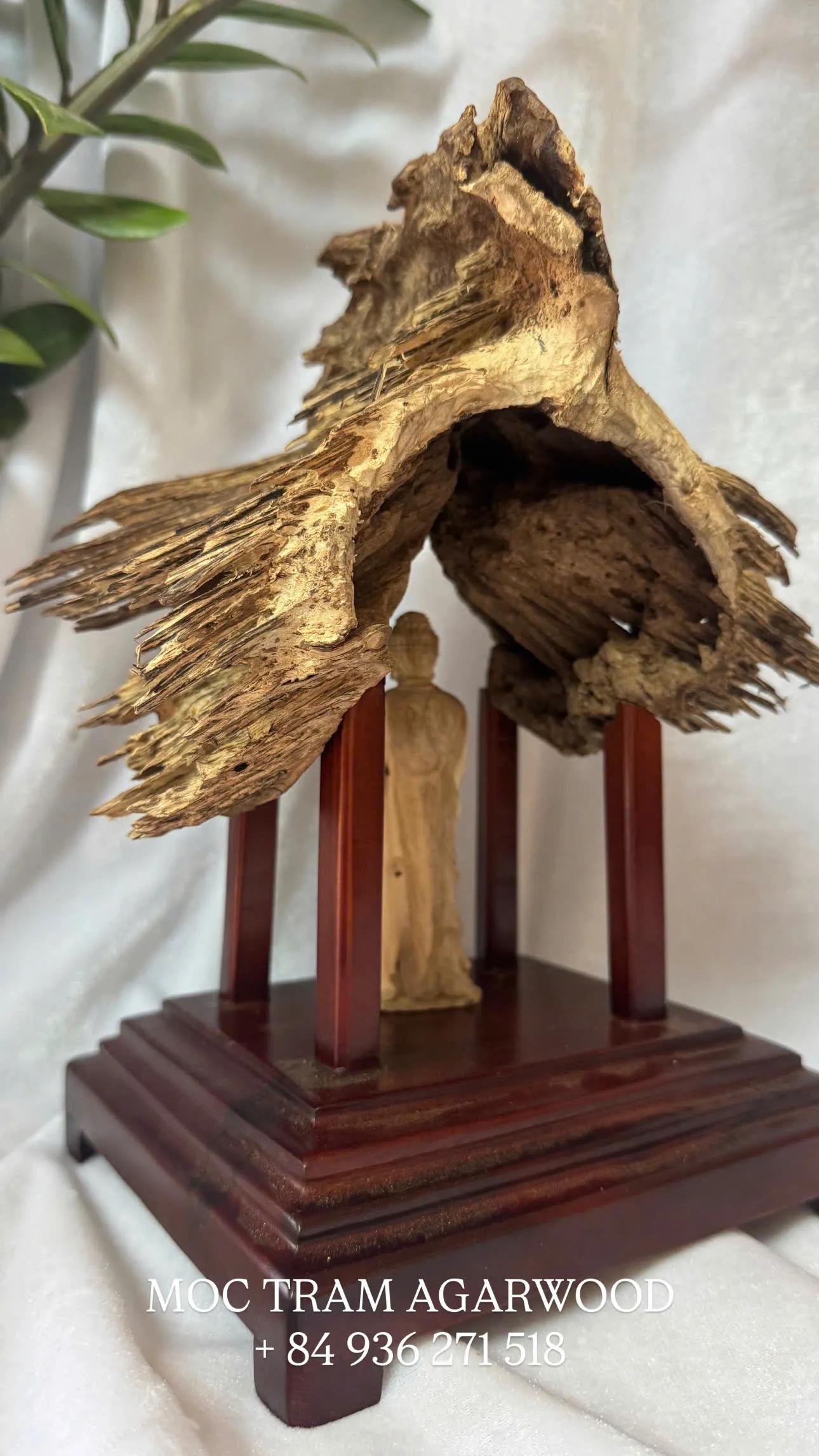 https://moctramagarwood.com - Hình ảnh