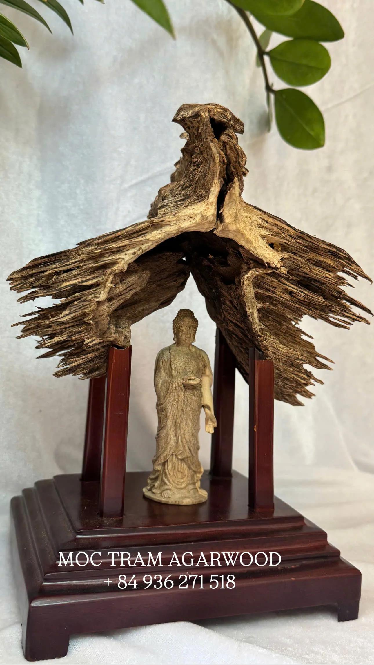 https://moctramagarwood.com - Hình ảnh