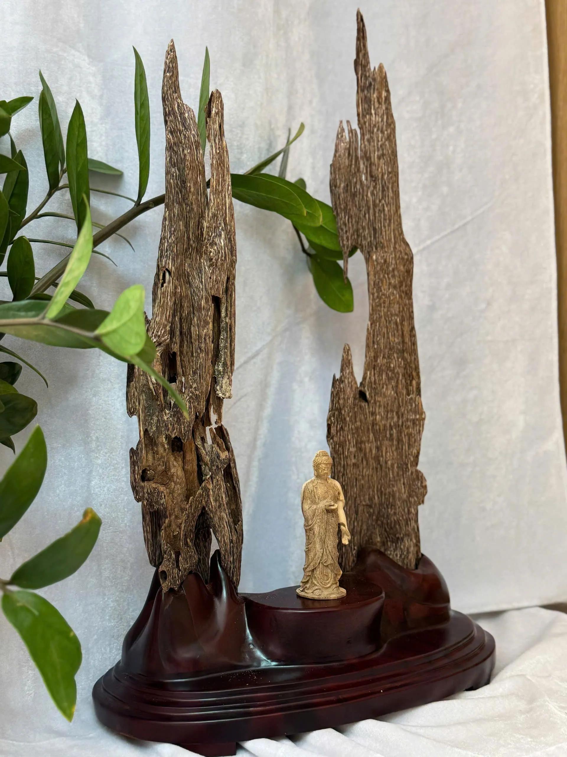 https://moctramagarwood.com - Hình ảnh