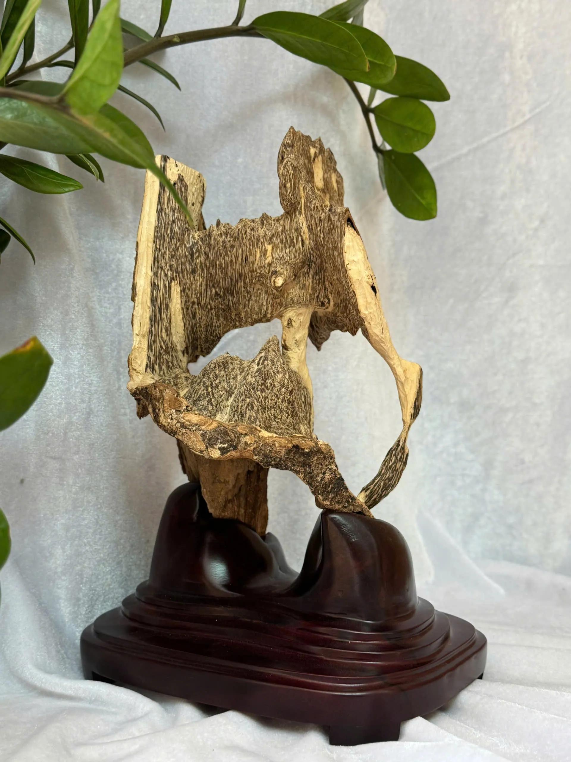 https://moctramagarwood.com - Hình ảnh