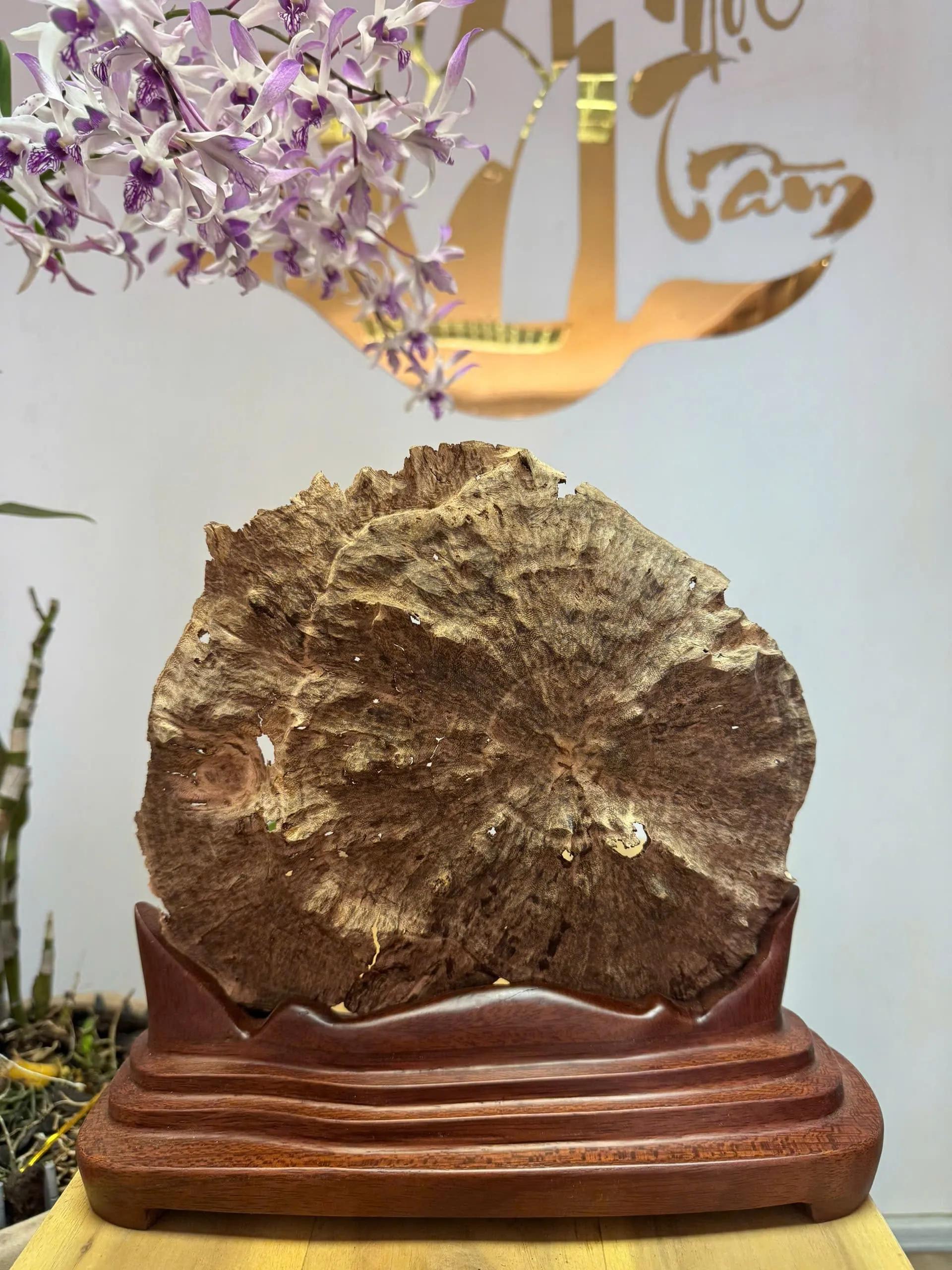 https://moctramagarwood.com - Hình ảnh