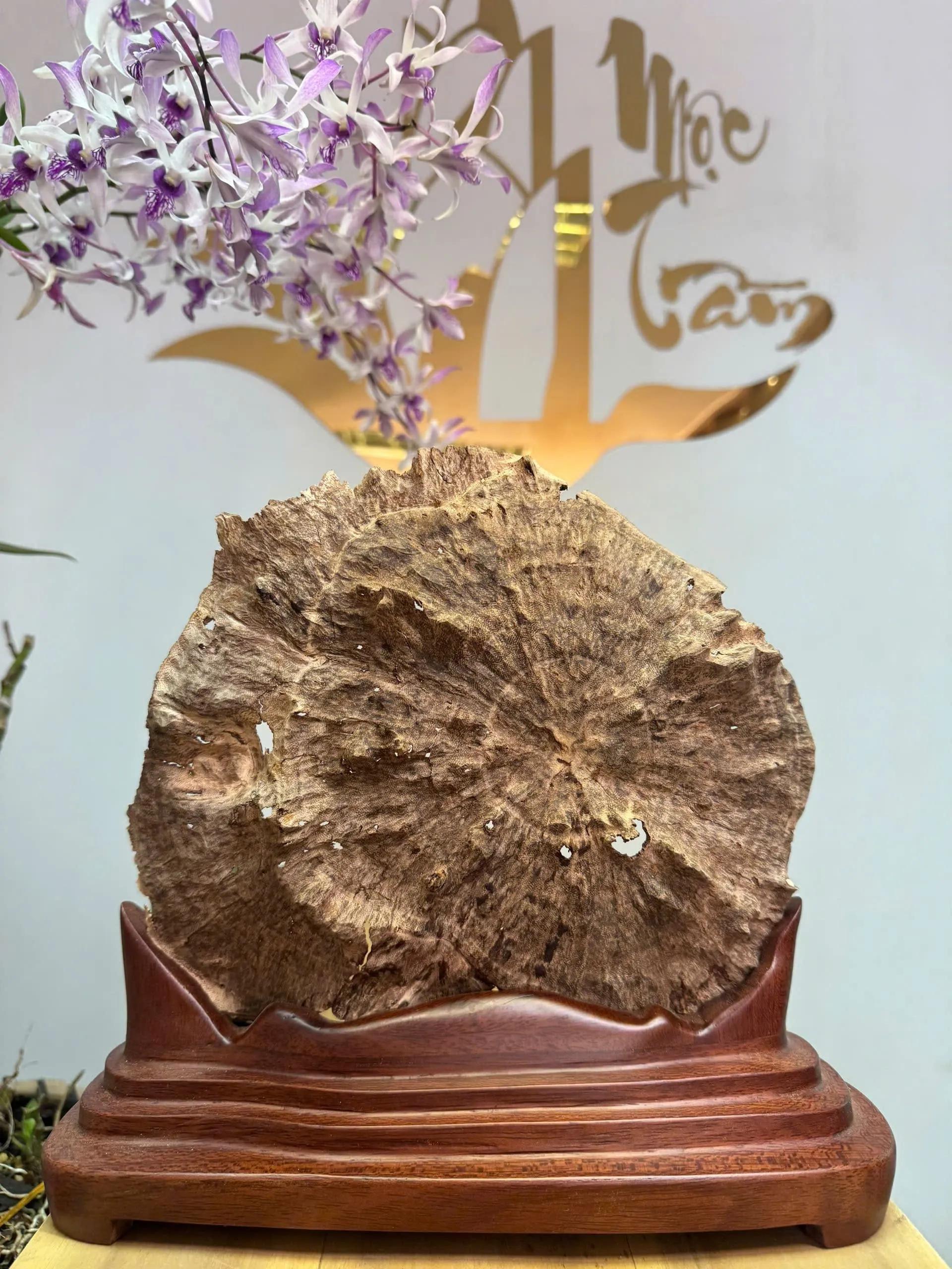 https://moctramagarwood.com - Hình ảnh
