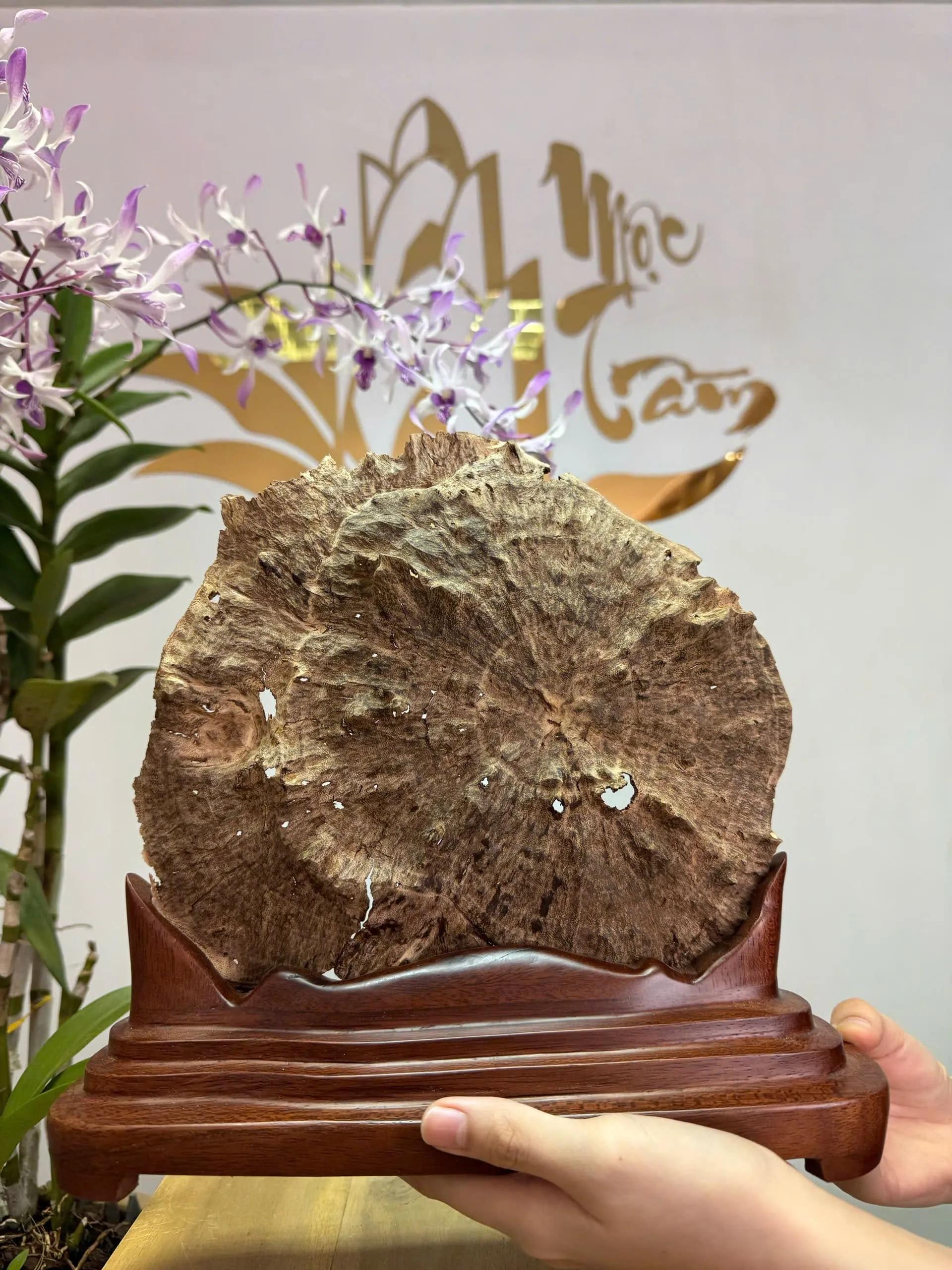 https://moctramagarwood.com - Hình ảnh