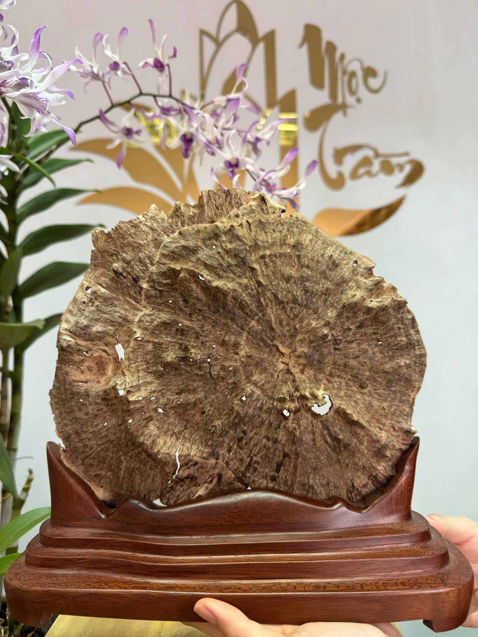 https://moctramagarwood.com - Hình ảnh