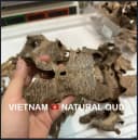 Thượng hạng_Trầm hương miếng tự nhiên trầm khoan ổ nhiều tinh dầu thumb 2