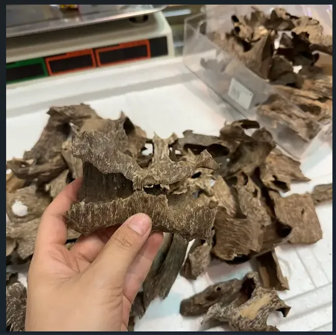 Thượng hạng_Trầm hương miếng tự nhiên trầm khoan ổ nhiều tinh dầu