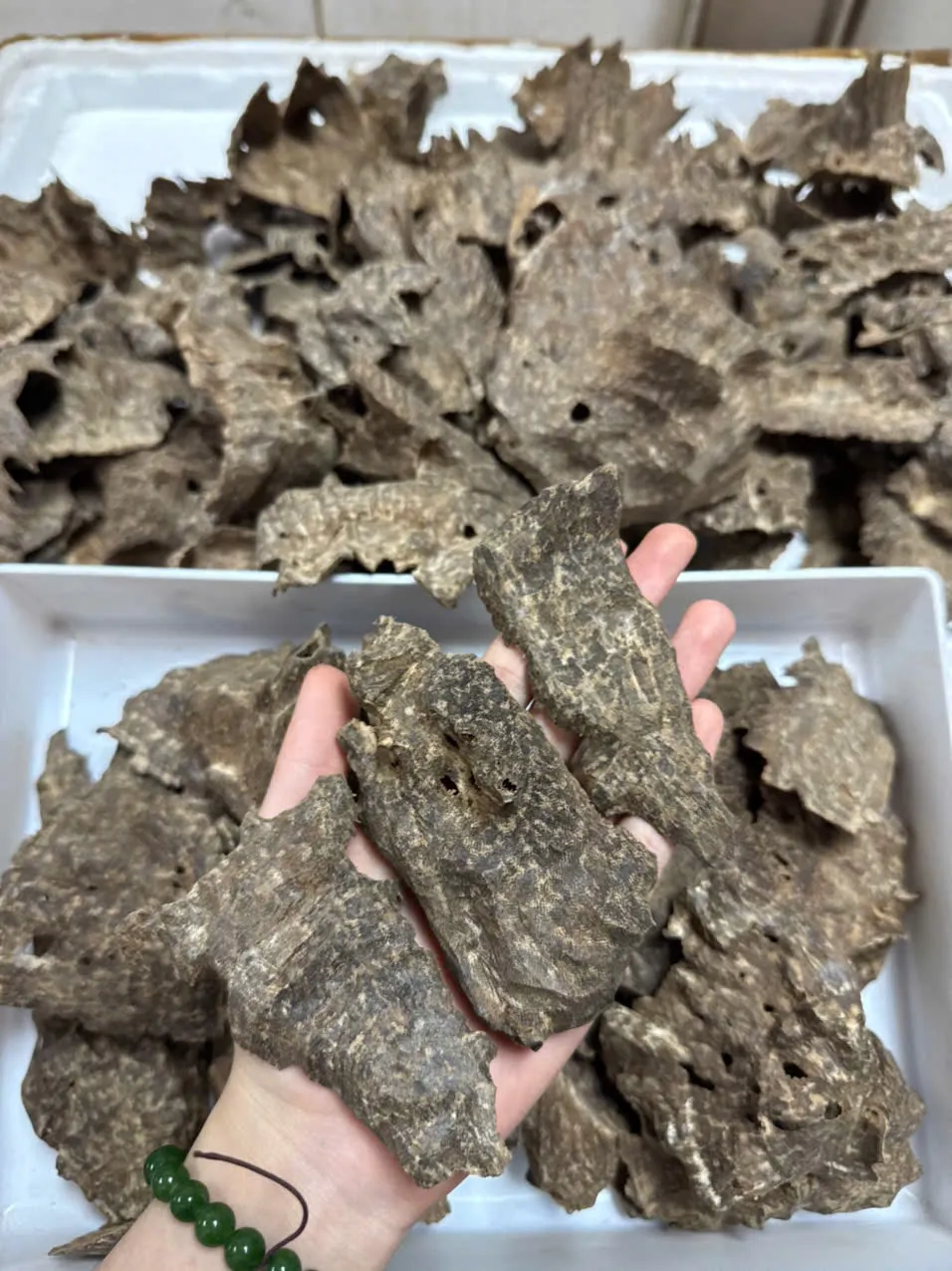 Thượng hạng_Trầm Mọ_ Trầm Cú Trầm hương miếng Nhiều tinh dầu tự nhiên toả hương thơm mạnh xông nhà, tẩy uế, thưởng trầm