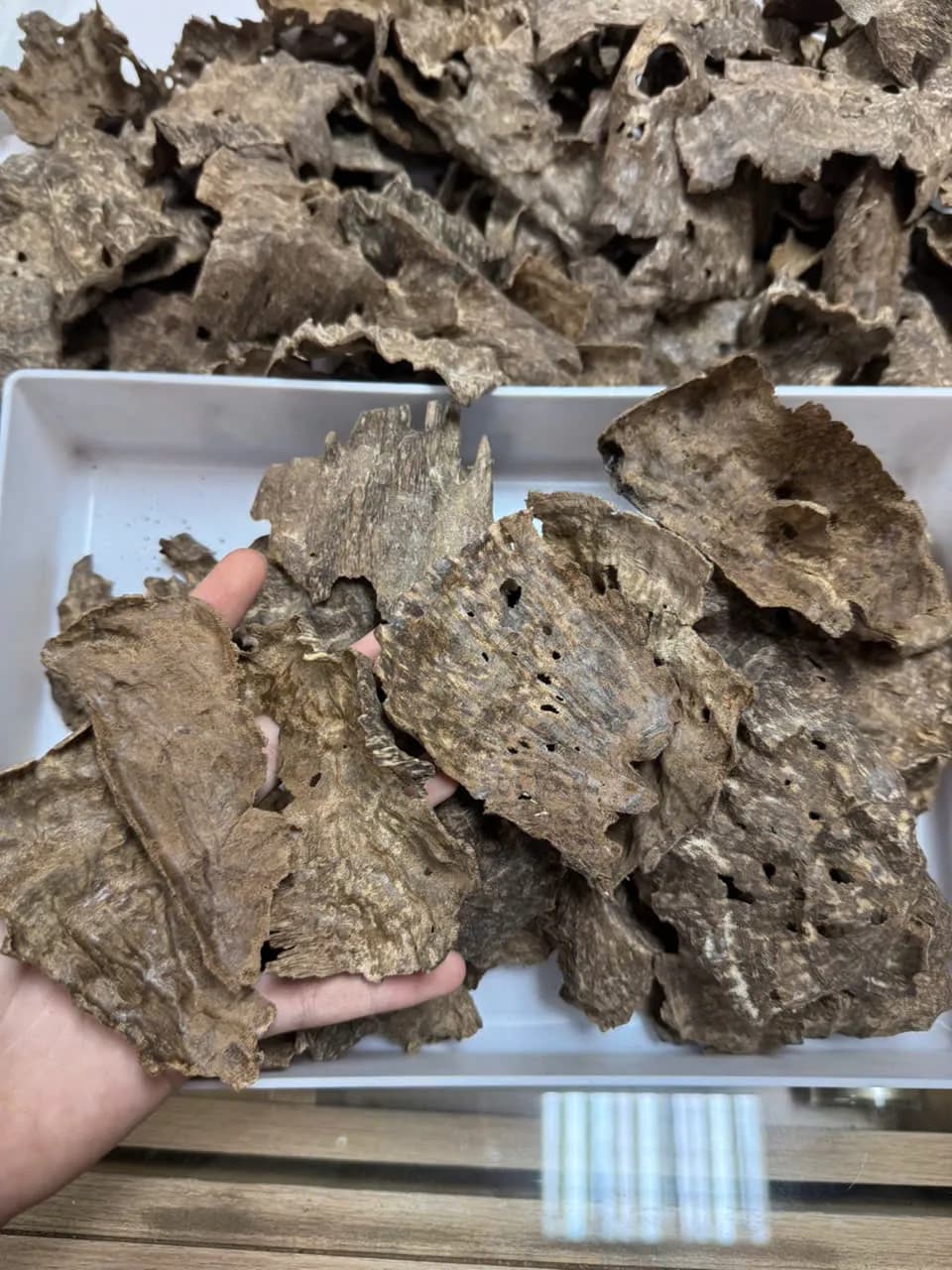 Thượng hạng_Trầm Mọ_ Trầm Cú Trầm hương miếng Nhiều tinh dầu tự nhiên toả hương thơm mạnh xông nhà, tẩy uế, thưởng trầm