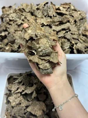 https://moctramagarwood.com - Hình ảnh