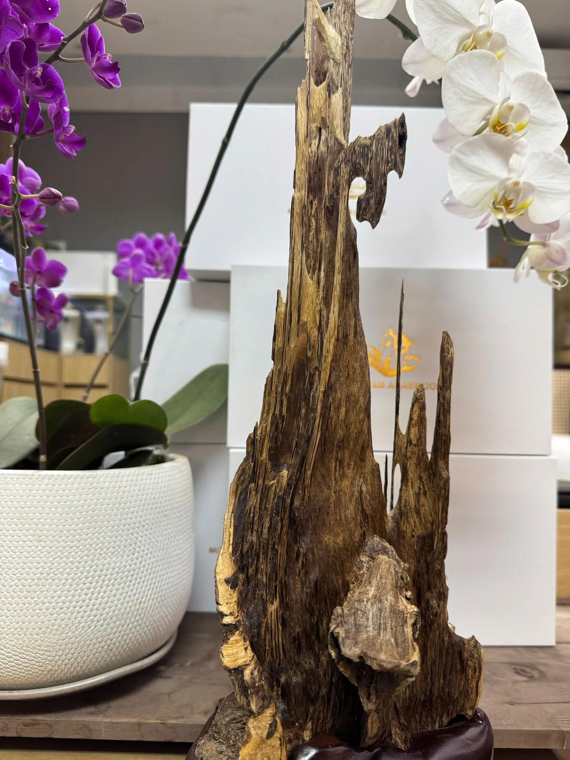 https://moctramagarwood.com - Hình ảnh