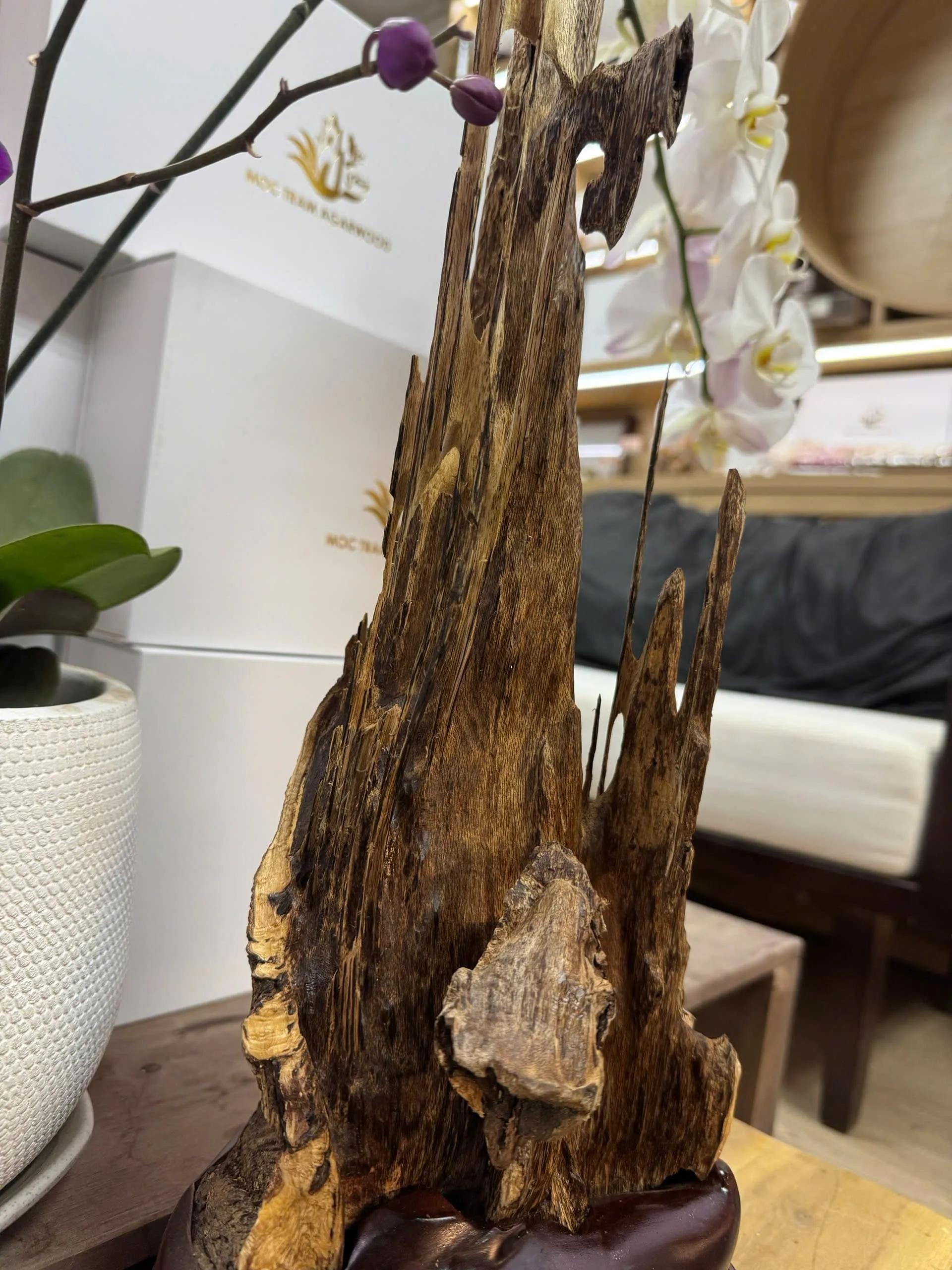 https://moctramagarwood.com - Hình ảnh