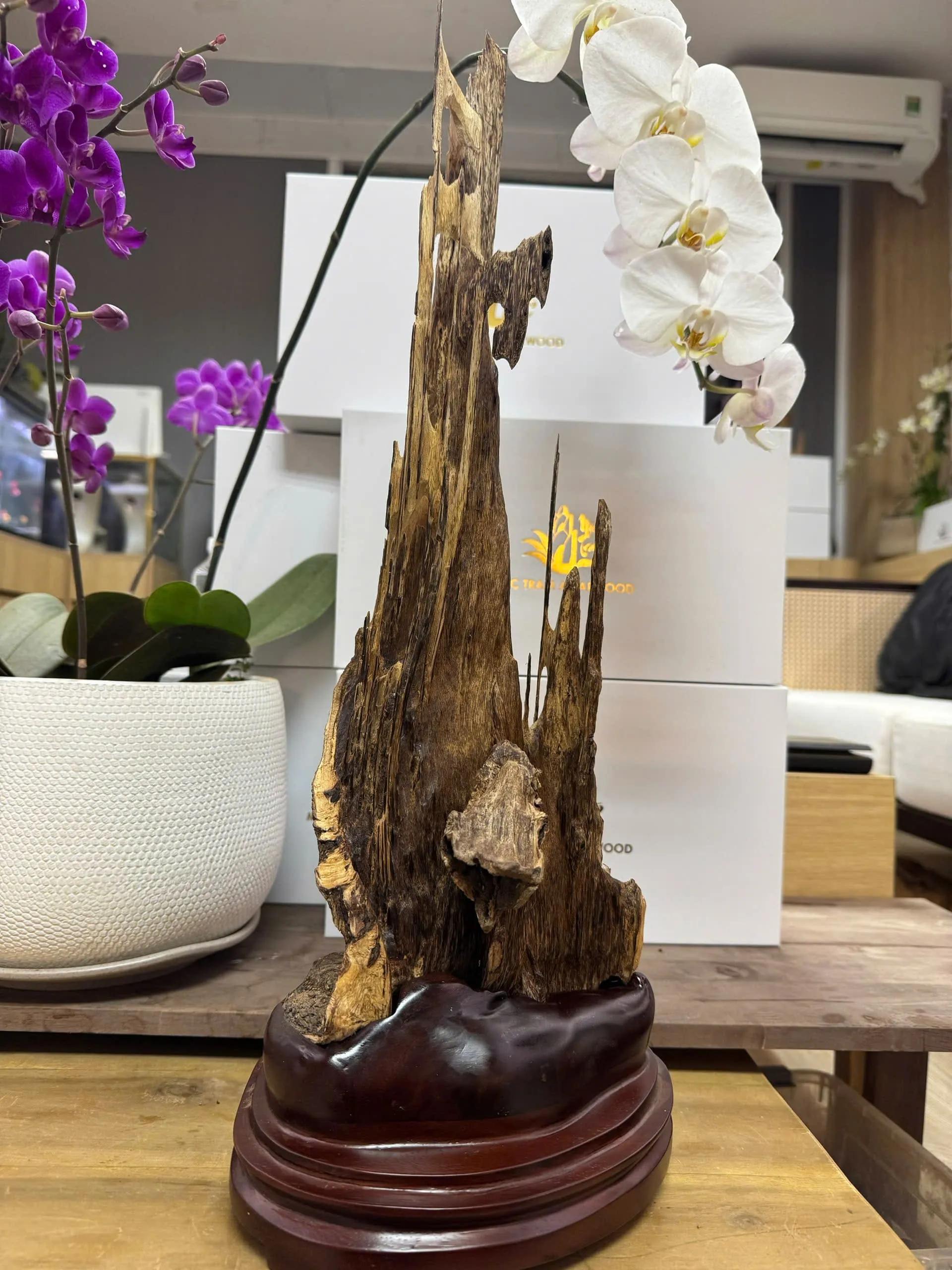 https://moctramagarwood.com - Hình ảnh