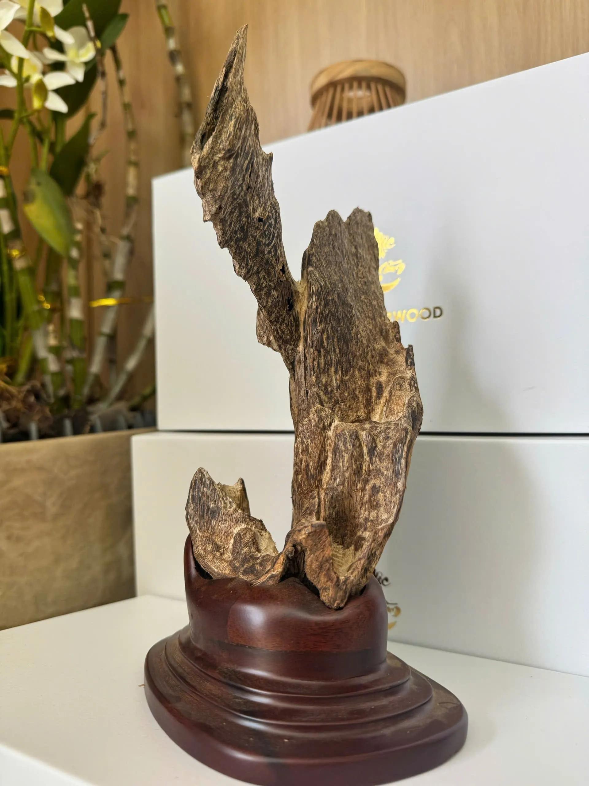 https://moctramagarwood.com - Hình ảnh